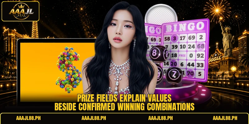 Prize fields explain values beside confirmed winning combinations
